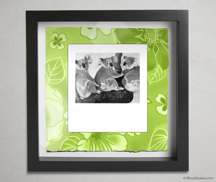 Koala Party Shadow Box 10-by-10 Inches 14