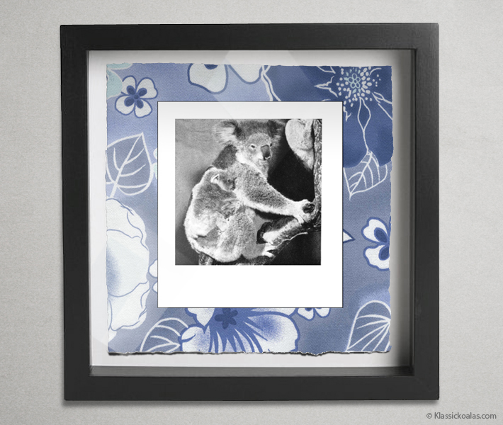 Koala Party Shadow Box 10-by-10 Inches 28