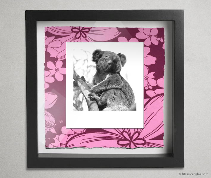 Koala Party Shadow Box 10-by-10 Inches 31