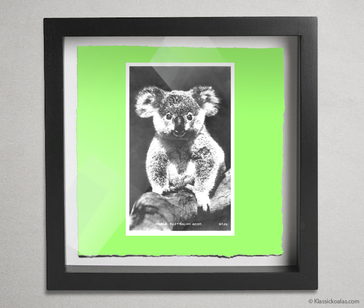Koala Postcards Shadow Box 10-by-10 Inches 22