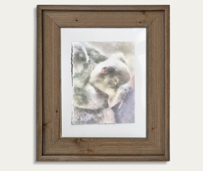 Koala Watercolor Painting 11-by-14 Barnwood Frame V 5