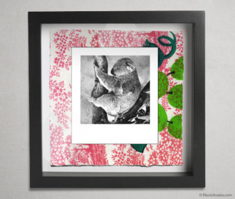 Koala Party Shadow Box 10-by-10 Inches 1