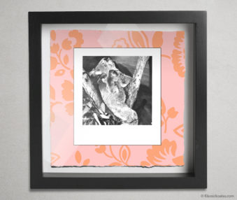 Koala Party Shadow Box 10-by-10 Inches 2