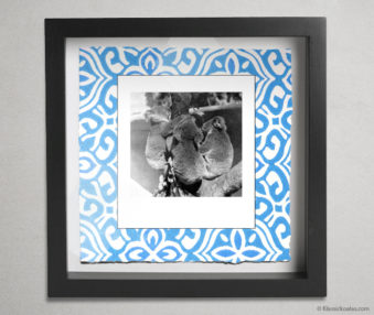 Koala Party Shadow Box 10-by-10 Inches 20