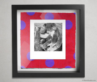 Koala Party Shadow Box 10-by-10 Inches 29