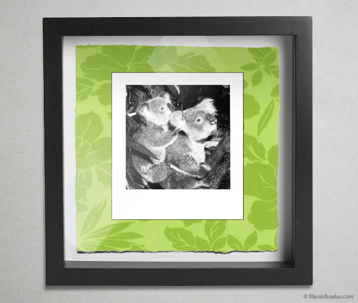 Koala Party Shadow Box 10-by-10 Inches 34