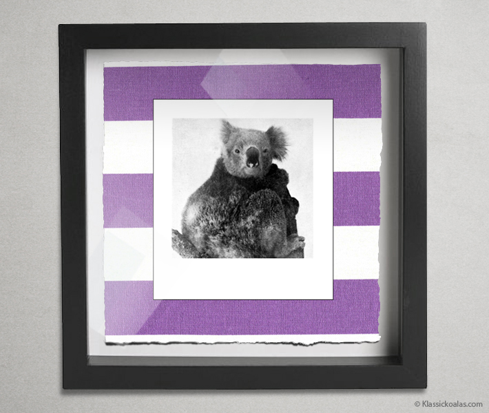 Koala Party Shadow Box 10-by-10 Inches 35