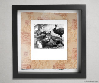 Koala Party Shadow Box 10-by-10 Inches 38