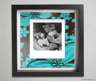 Koala Party Shadow Box 10-by-10 Inches 6