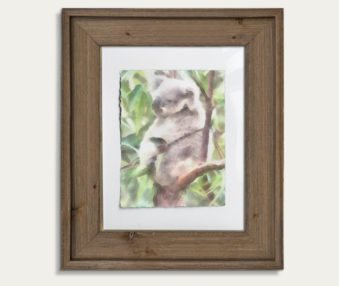 Koala Watercolor Painting 11-by-14 Barnwood Frame V 1