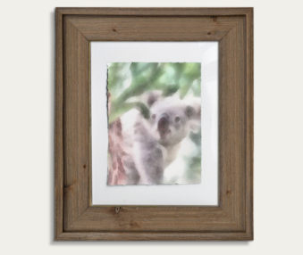 Koala Watercolor Painting 11-by-14 Barnwood Frame V 21