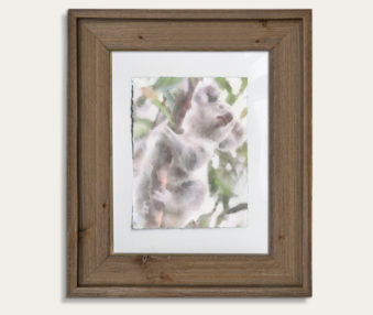 Koala Watercolor Painting 11-by-14 Barnwood Frame V 8