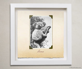 Valentine Koalas Shadow Box 10-by-10 Inches 15